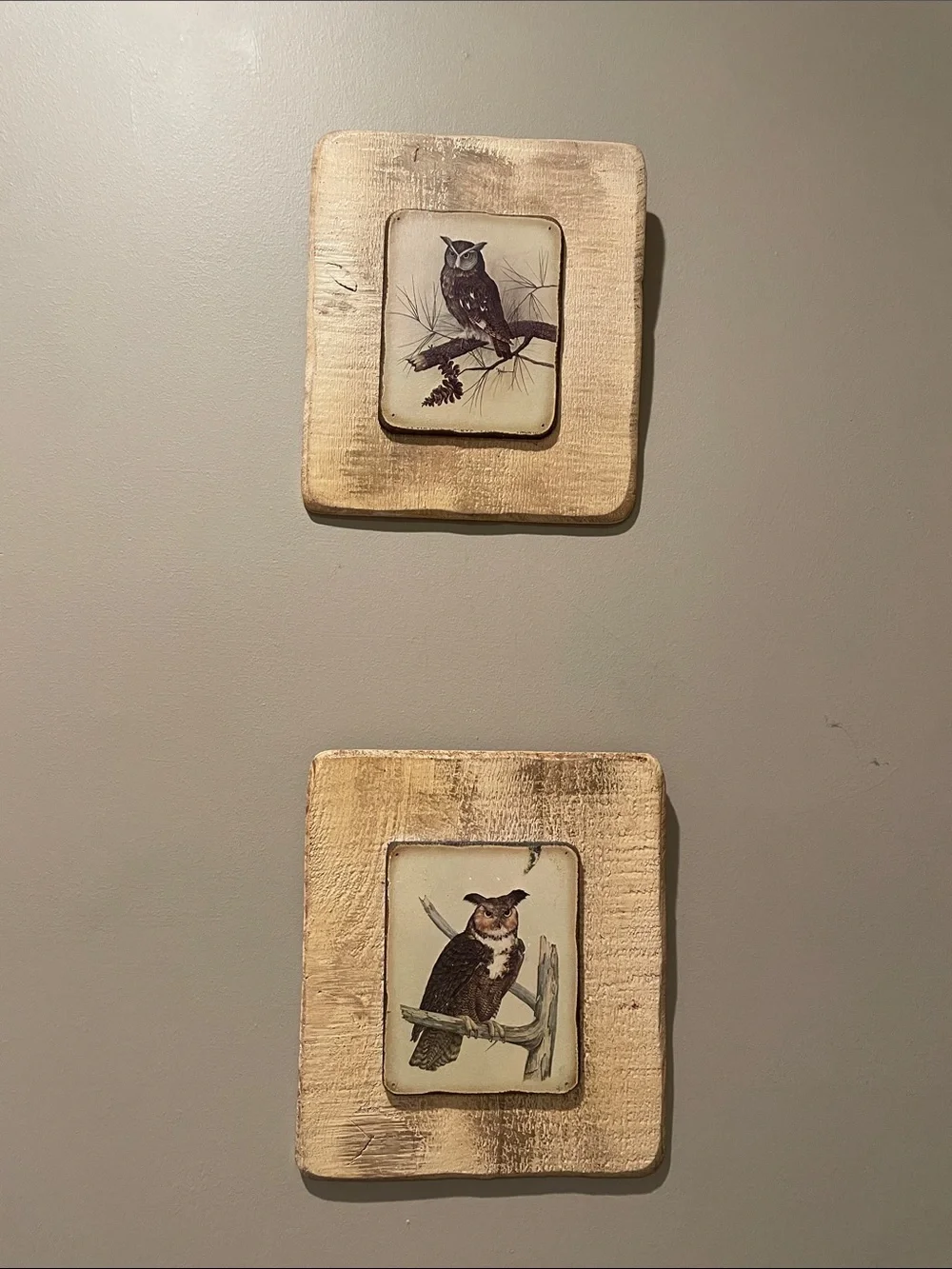 Set of 2 owl prints wall decor